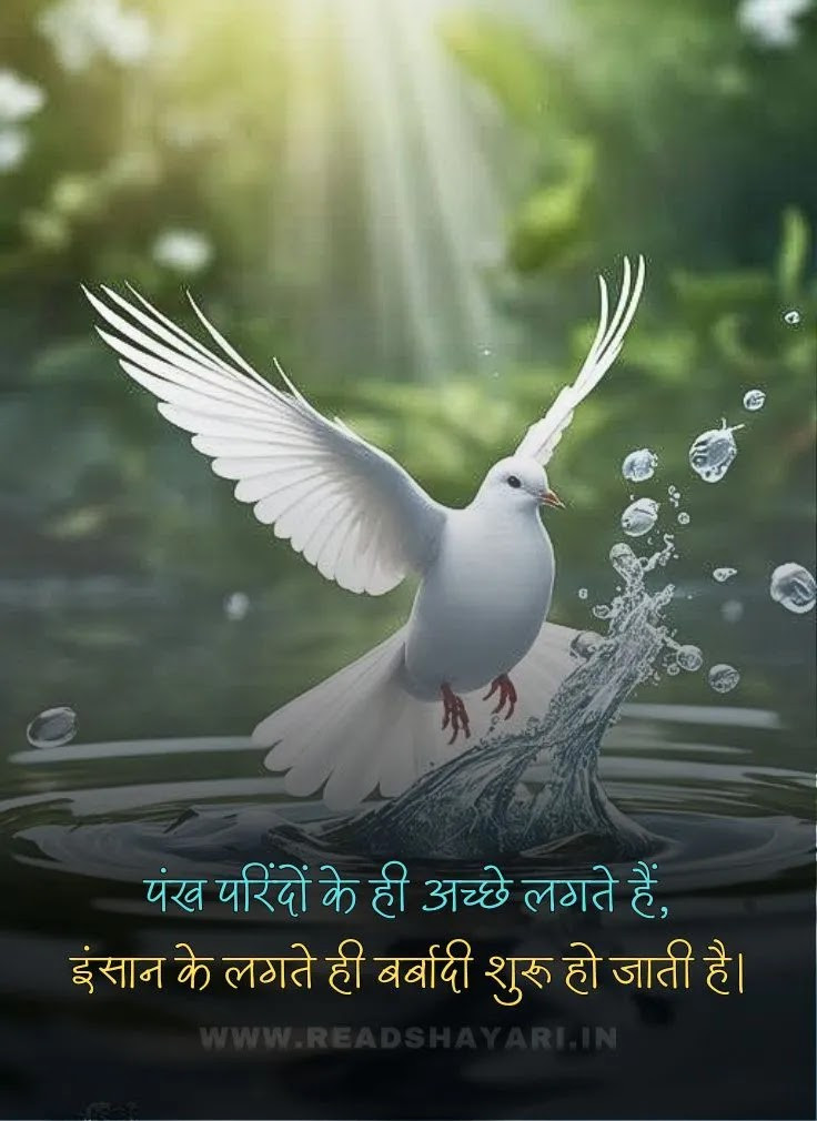 Sad shayari in hindi 2026